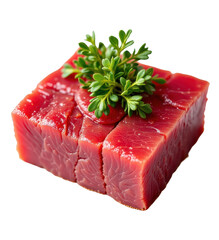 solo seared atlantic bluefin tuna tataki on a white background, in a detailed style, with intricate lines, minimal shadow, bright light, high resolution