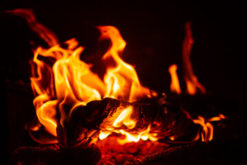 Flickering flames rise and sway against a black backdrop, casting enchanting shadows and warmth
