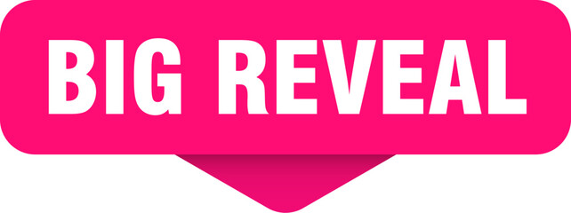 big reveal sticker. big reveal sign on transparent background