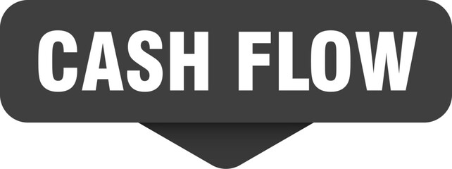 cash flow sticker. cash flow sign on transparent background