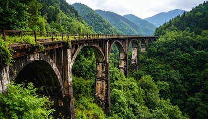 Fototapeta premium Abandoned Railway Bridge Overgrown in a Deep Valley Surrounded by Nature