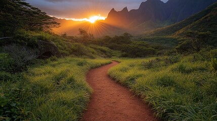 Winding trail at sunset in lush valley