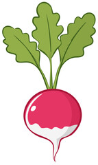 Organic Root Vegetable Illustration