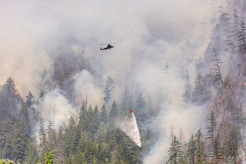 Helicopter Fighting a Forest Fire in Squamish, BC, Canada Amid Dense Smoke