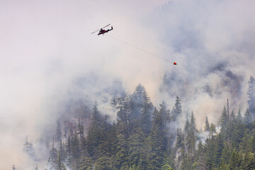 Helicopter Dropping Water on Forest Fire in Squamish, BC, Canada
