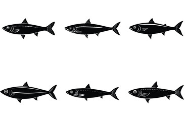 sardine vector