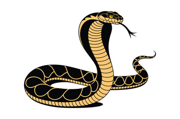 vector illustration of a snake