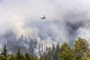 Helicopter Extinguishing Forest Fire in Squamish, BC Amid Smoke