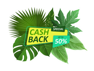 Cashback special offer. Tropical palm leaves. Discount label, summer sale emblem with exotic plant, botanical decorative element. Jungle leaf frame. Vector isolated green floral illustration