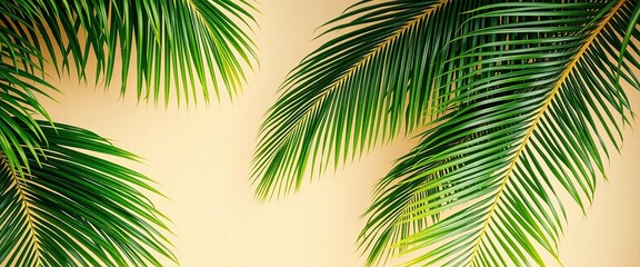 Obraz premium Lush green palm fronds create a tropical frame against a muted beige backdrop, nature background, summer background