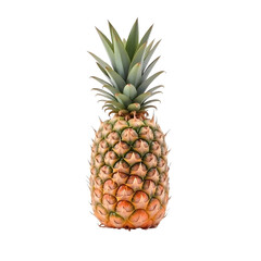Fototapeta premium A ripe pineapple with a spiky exterior and a crown of green leaves, standing against a plain png background