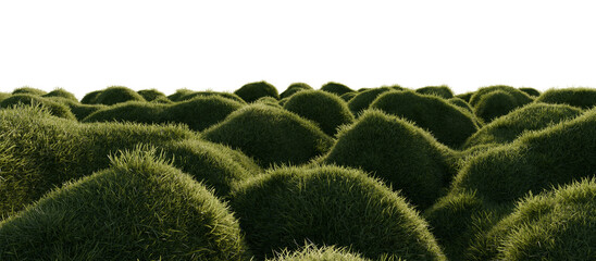 Hills with grass on a transparent background. 3D rendering.	
