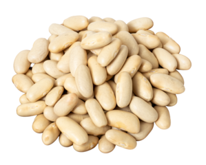 Pile of raw cannellini beans cu