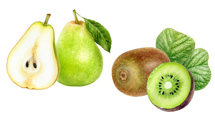 Watercolor Realistic Pear and Kiwi Illustration, Fresh Fruit Duo