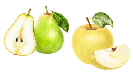 Watercolor Realistic Pear and Apple Illustration, Sweet Fruit Pair