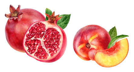 Watercolor Realistic Pomegranate and Nectarine Illustration, Juicy Fruit Duo