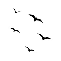 Silhouette of a flock of seagulls flying against a plain background.



