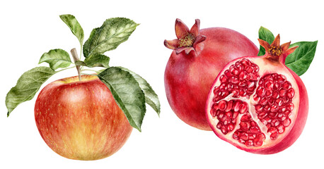 Watercolor Realistic Apple and Pomegranate Illustration, Fresh Fruit Composition
