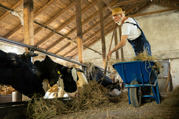 The farmer stands proudly in his barn surrounded by cows, emphasizing the agricultural connection to land and livestock.