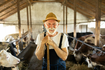 A joyful farmer stands among cows in a rustic barn, showcasing the connection between humans and nature in agriculture.