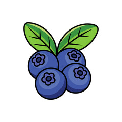 Cartoon illustration of blueberries with leaves