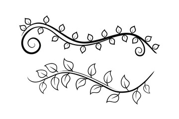 Elegant black line drawing of twining vines with leaves