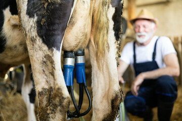 A farmer milks a cow using a milking machine in a rustic barn, showcasing traditional dairy farming methods. Selective focus to milking machine atached to cow