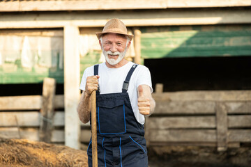 A joyful older farmer holding a pitchfork, standing outdoors in front of a rustic barn with a sunny sky in the background. thumbs up