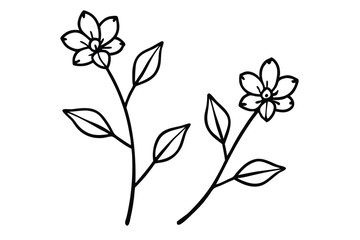 Two Branches With Flowers and Leaves line art vector illustration