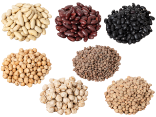 Set of raw legumes cut out including lentils, chickpeas, and beans