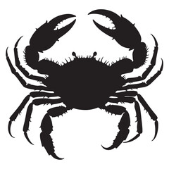 Crab isolated on white background. Vector illustration eps 10.
