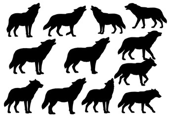 Silhouettes of wolves howling isolated on white background in various poses