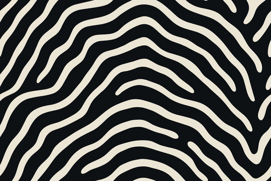 Seamless okapi stripe pattern with wavy beige lines on black background