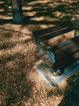 bench in autumn park