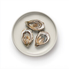 Three fresh oysters rest on a smooth plate, showcasing their natural beauty Generative AI