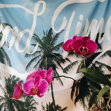 pink flowers on a blue background