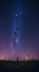 Night sky illuminated stars peaceful field