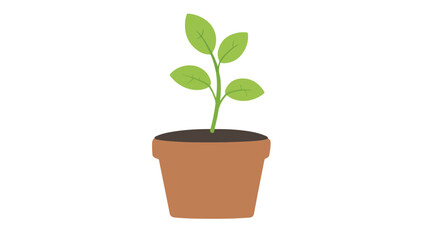 Young Plant in Pot Vector Isolated Illustration for Nature and Gardening Designs