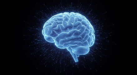 Illuminated Brain: A Digital Representation of Human Intellect