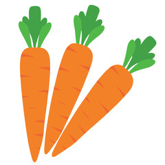 carrot icon, carrot vector illustration on white background 