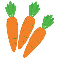 carrot icon, carrot vector illustration on white background 
