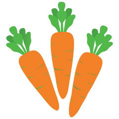 carrot icon, carrot vector illustration on white background 