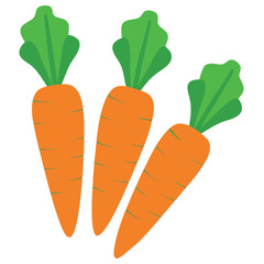 carrot icon, carrot vector illustration on white background 