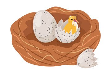 Small yellow chick and light colored egg in bird's nest. Fragile mottled bird eggs and broken shell.  Vector texture pattern bird offspring in spring. 