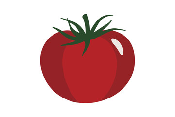 Fresh Tomato Vector Illustration Red Organic Vegetable Clipart on White Background