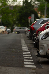 The image presents a detailed view of several parked cars neatly arranged along a busy city street, showcasing clear lane markings, alongside an attractive backdrop of greenery and trees