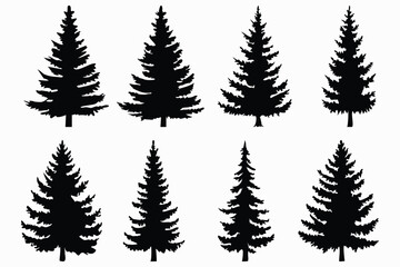 Set of Pine Tree Silhouettes | Vector Evergreen Tree Shapes for Forest and Winter Design