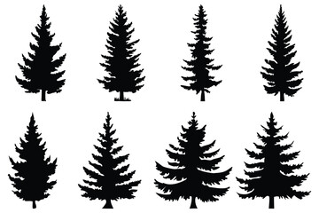 Set of Pine Tree Silhouettes | Vector Evergreen Tree Shapes for Forest and Winter Design