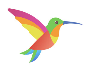 vector illustration of a hummingbird