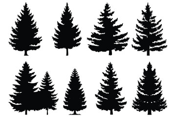 Set of Pine Tree Silhouettes | Vector Evergreen Tree Shapes for Forest and Winter Design